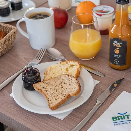 Brit Angers Parc Expo - L'acropole Hotel 3*
